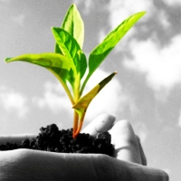 Mindfulness for people with Parkinson's